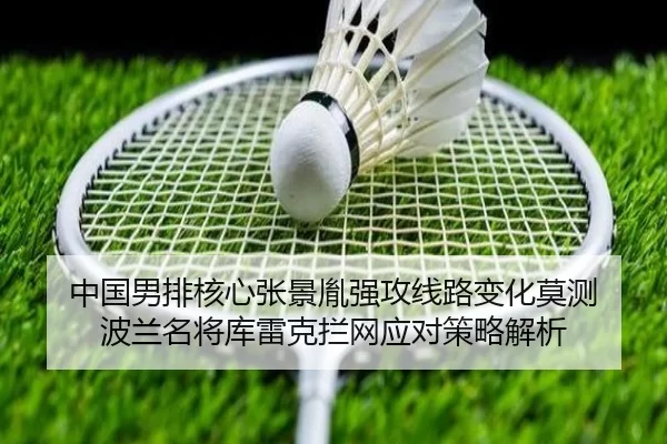 中国男排核心张景胤强攻线路变化莫测 波兰名将库雷克拦网应对策略解析